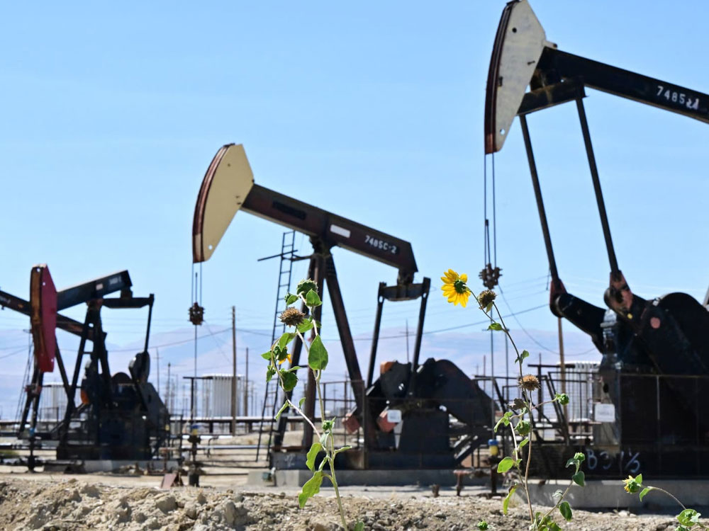 Solar Power Containers for Udbytte