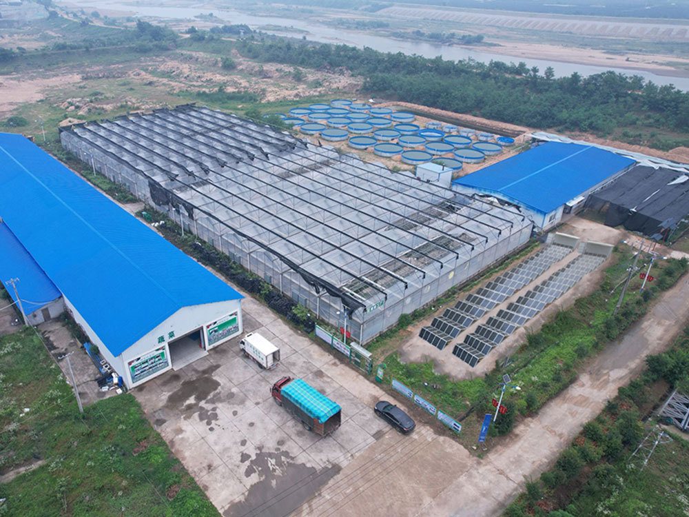 Solar Power Containers for Selvforsynet strømforsyning